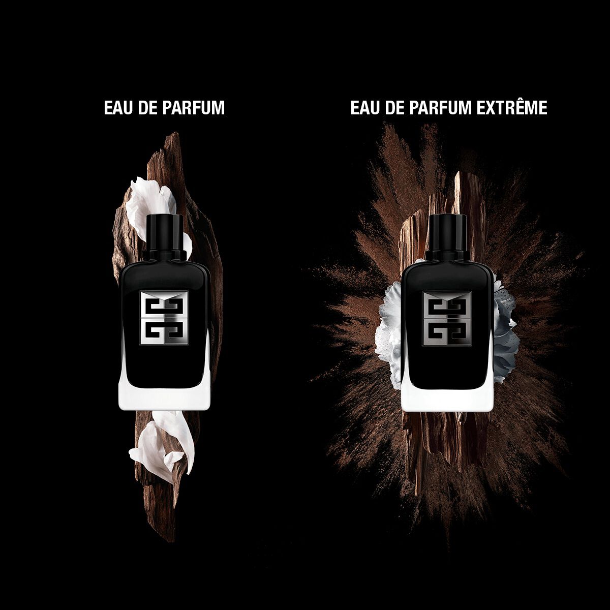 Gentleman Society EDP Extreme