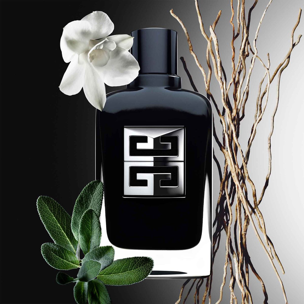 Gentleman Society EDP