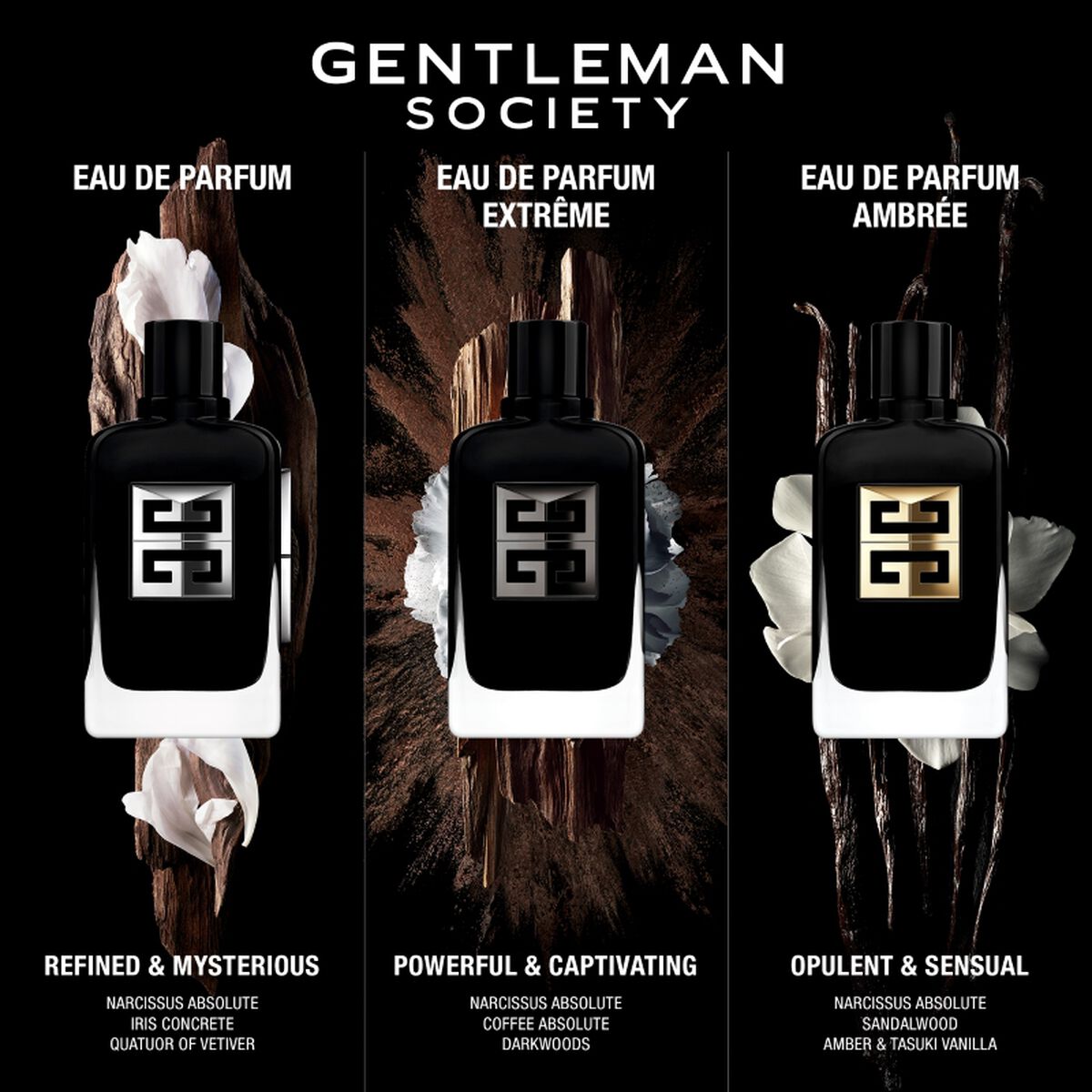 Gentleman Society EDP